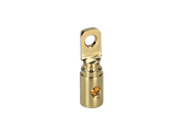 ACV MASSIV RINGKABELSKO 20-25 MM² M8 (GULD)